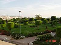 DSC00447.JPG