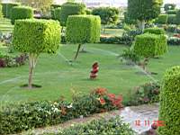DSC00449.JPG