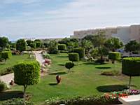 DSC00453.JPG