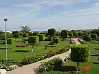 DSC00454.JPG