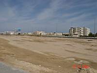 DSC00459.JPG