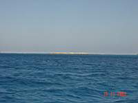 DSC00480.JPG
