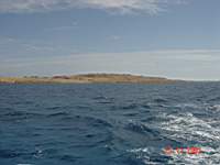 DSC00481.JPG