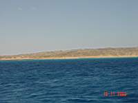 DSC00485.JPG