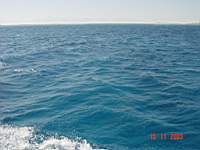 DSC00486.JPG