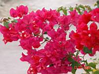 DSC00706.JPG
