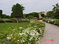 DSC00708.JPG