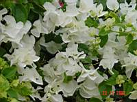 DSC00709.JPG