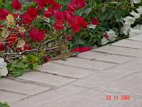 DSC00710.JPG