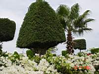 DSC00711.JPG