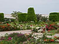DSC00715.JPG