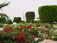 DSC00717.JPG
